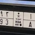 لوحة دنا