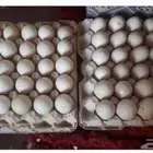 بيض بط سوداني