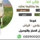 ذبايح