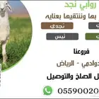 ذبايح