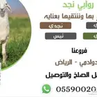 ذبايح