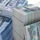 دواجن لاحم