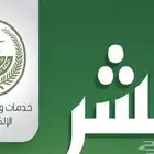 تسقيط سيارات فوري