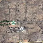 ارض سكنية للبيع - جازان - ابو عريش