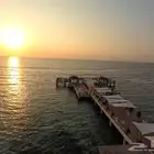 مصور درون معتمد