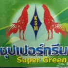 العلاج السحري لجميع الطيور