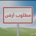 مطلوب فلة او بيت من المالك مباشرة