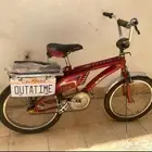 رامبو أصلي