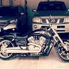 Harley Davidson v rod muscle هارلي