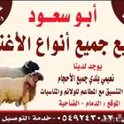 ريح بالك وذبيحتك لبابك نعيمي هرافى و جذعان والتوصيل المجاني
