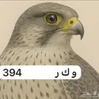 لوحه جميله لعشاق الصقور و ك ر 394