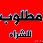 مطلوب طليان ورخال حريه