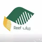 التسجيل في ريف