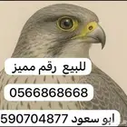 رقم مميز