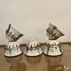 فناجيل عراقية موسره