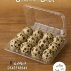 انتاج يومي بيض سمان جودة