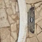 قطع مكسيما 2004-2007