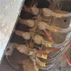 اصلاح مولدات كهربائية