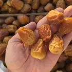 سكري جلكسي فاخر