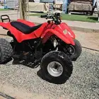 دباب سويدي مقاس 110 للبيع