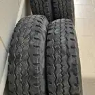 جنوط مع كفر