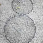 شبوك وقريب عرض ونقل الطيور