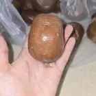 للبيع دوم بالكيلو