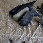 مرايات كامري م 2007لين 2011 يمين يسار