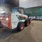 بوبكات للبيع