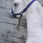مهره من فواخر الشعبي طيبه