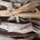 حطب مسح ددسن