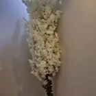 شجرة زينة للبيع