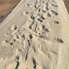 رمل ابيض لياسه تيماء نيوم تبوك