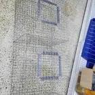 قراقير وشبوك عرض الطيور