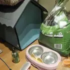 أدوات قطط وسمك للتنازل
