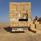 تبن قمح شد شركه كلاس