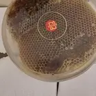 عسل طلحة الباحة