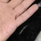 شبك صيد طيور