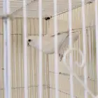 ذكر روز انتاج