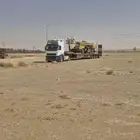 لوبد متواجد في وادي الدواسر