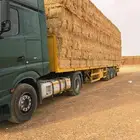 تبن قمح شد شركه كلاس