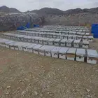 خليها نحل مصري