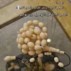 مسباح دومنه