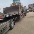 لوبد متواجد في بيش