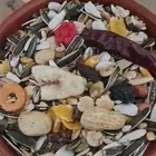 خلطة طيور للبغاوات الكبيرة شي فاخر من الاخر