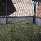 برسيم ربطات