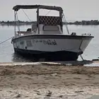 زورق نافيقيترقطري 31