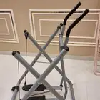 الغزال الطائر