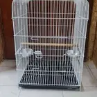قفص ببغاء