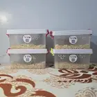 فروخ روز مجانين غر مع ملحقاتها